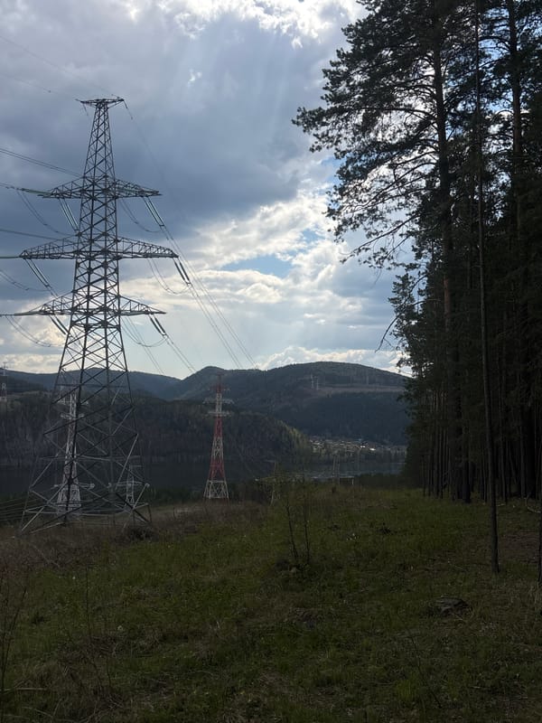 Morning forest drive and picnic documented near Krasnoyarsk