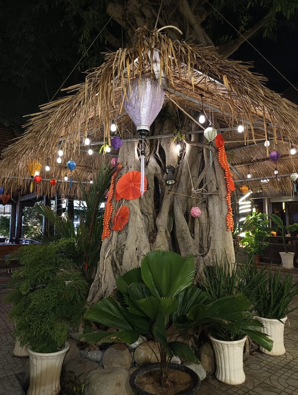 Beachside night out at a festively lit Vietnam coastal spot