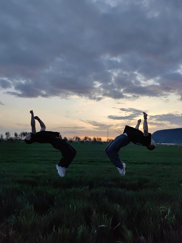 Man performs backflip in field during sunset near Shumen