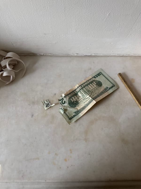 New Yorker documents torn twenty-dollar bill, takes mirror selfies