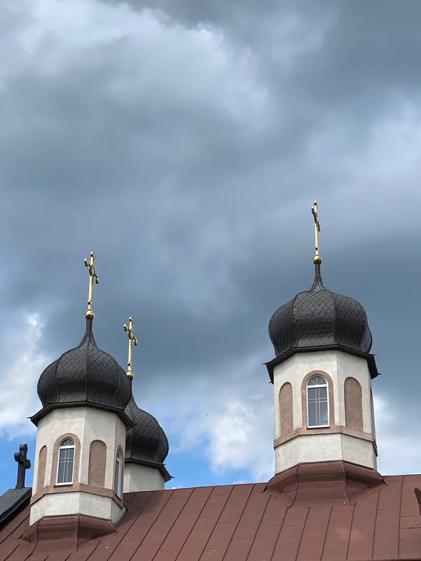 Orthodox church domes and rooftop pigeons on a cloudy morning