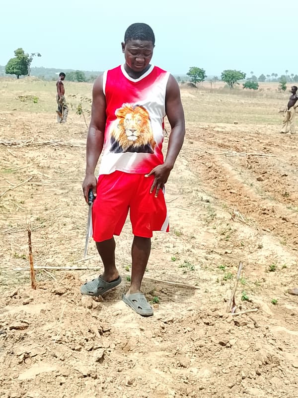 Farmers work fields with hand tools near Akwanga, Nigeria