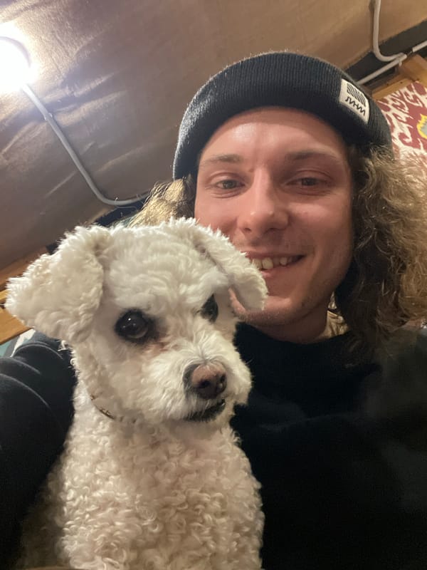 Small white dog relaxes on couch in Yekaterinburg