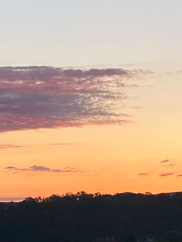 Cats at home and a colorful sunset over Bílina