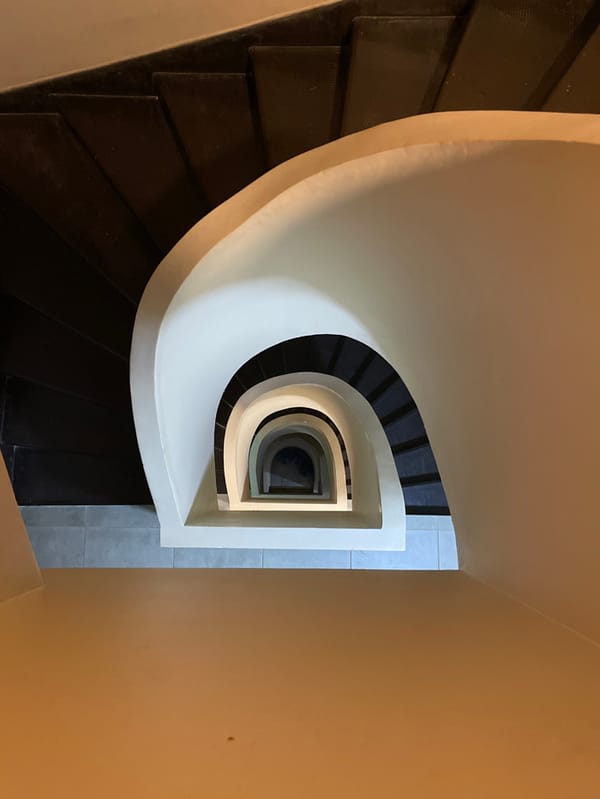 Late-night documentation of Palacio Barolo architecture and domestic cats