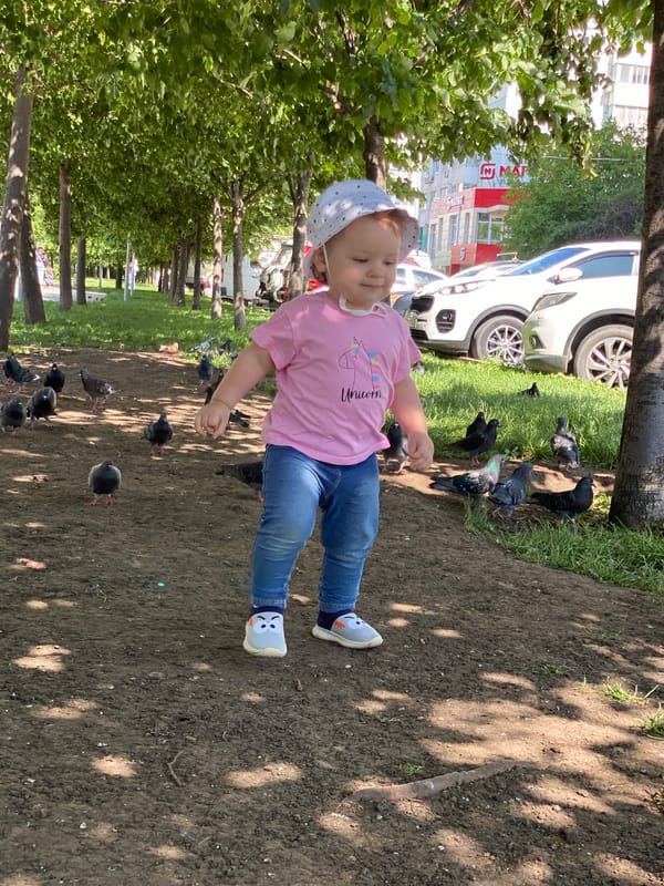 Urban wildlife encounters captured during afternoon park visit