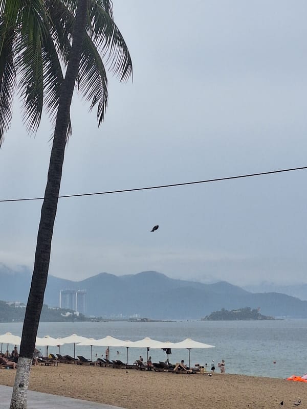 Grab delivery run along Nha Trang's wet beachfront promenade