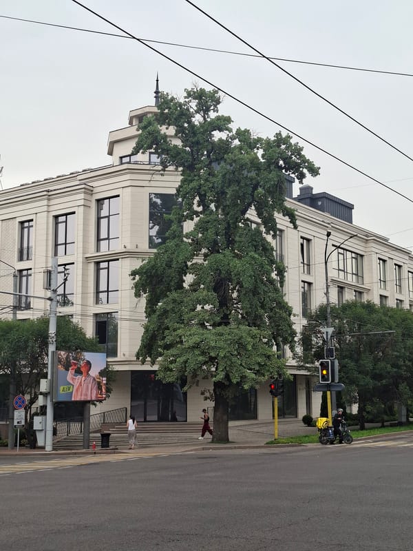 Street life and construction activity in central Almaty