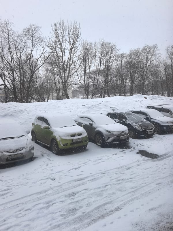 Snow-covered parking lot observed with green vegetation contrast