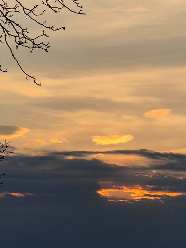 Evening life captured in Bulgarian Danube town Tutrakan