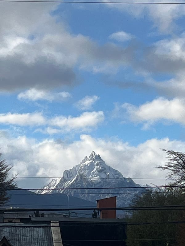 Cats rest indoors as snow-capped mountains visible in Ushuaia