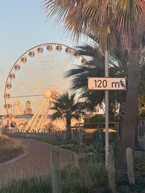 Cape Town Ferris wheel attraction draws afternoon visitors
