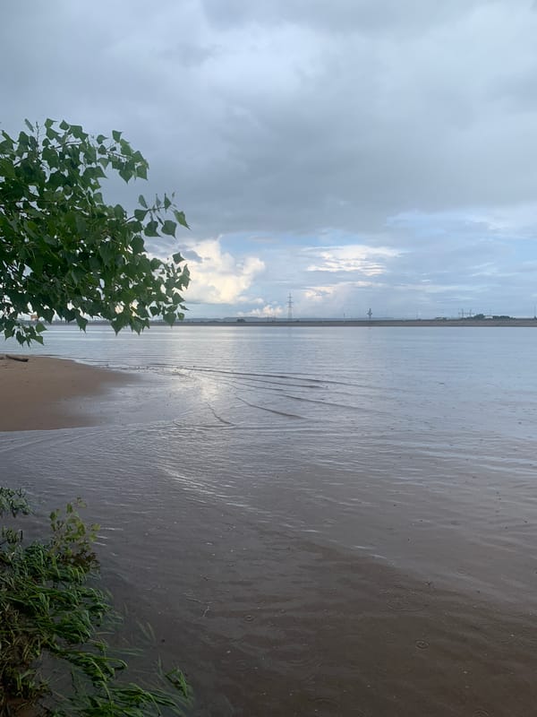 Family barbecue gathering by Russian waterside despite rainy weather