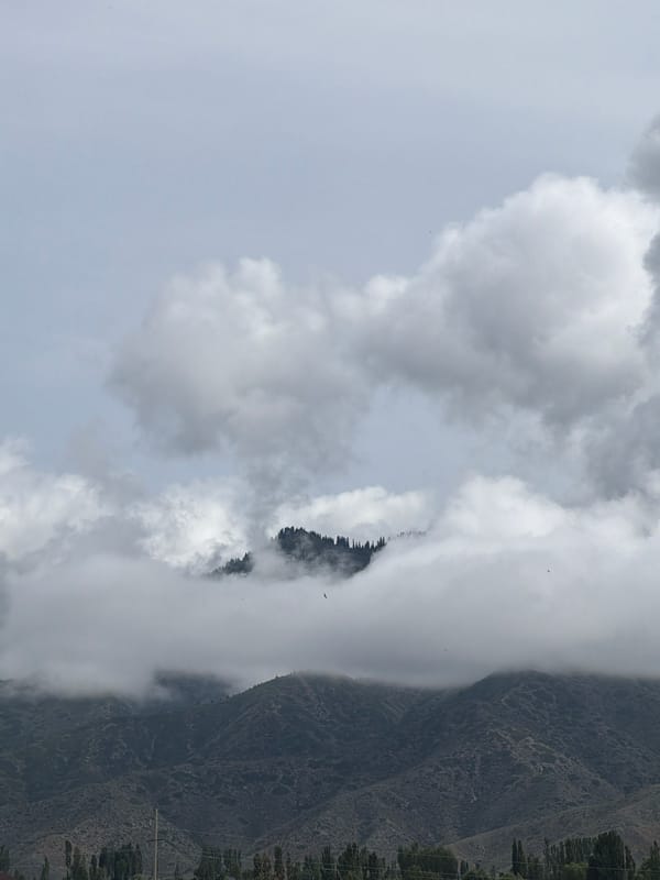 Overcast countryside: resting animals, wildflowers, and misty peaks