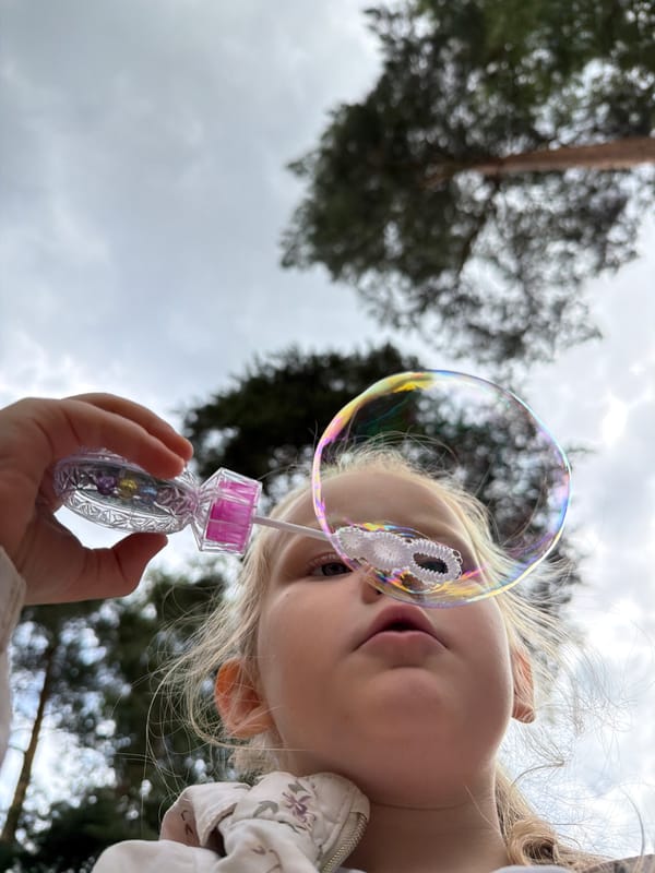 Backyard summer morning: bubbles, blueberries, and a ladybug