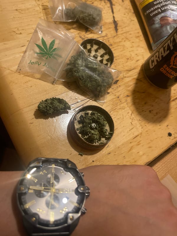 Man documents cannabis activities over three-hour period