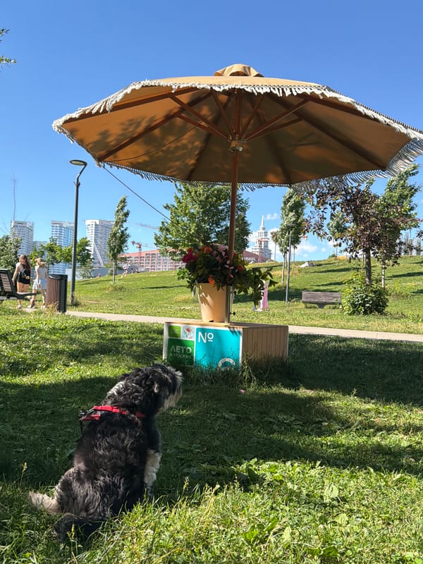 Lazy park afternoon with a dog, picnic, and crossword puzzles