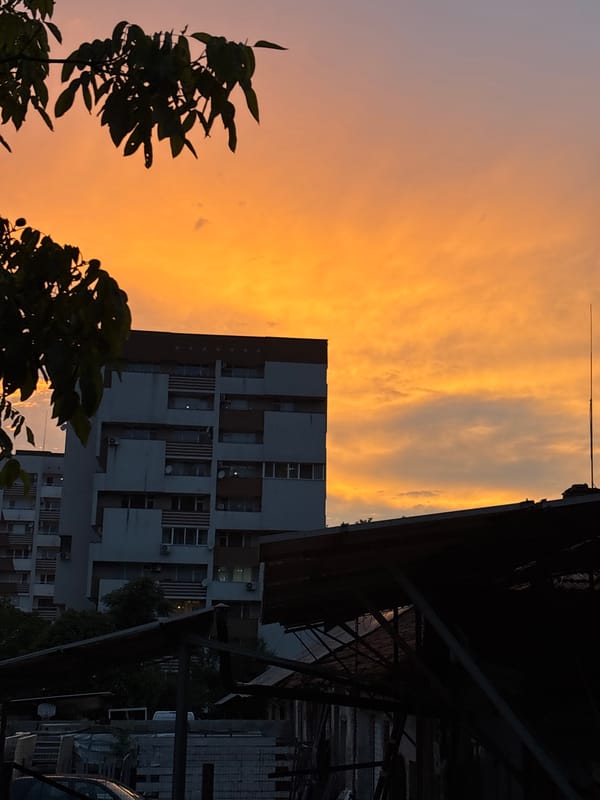 Sunset pet moments captured in Zlatograd, Bulgaria