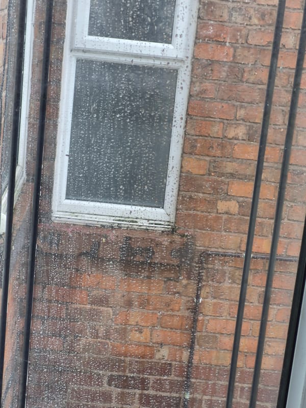 Quiet morning moments captured in Sandwell home during rainfall