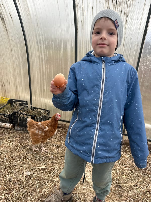 Morning domestic life captured in Альняш: child with egg, calico cat