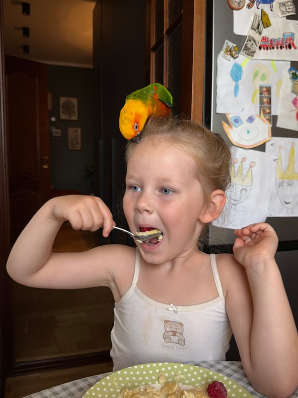 Quiet summer morning at home in Khimki with a pet bird