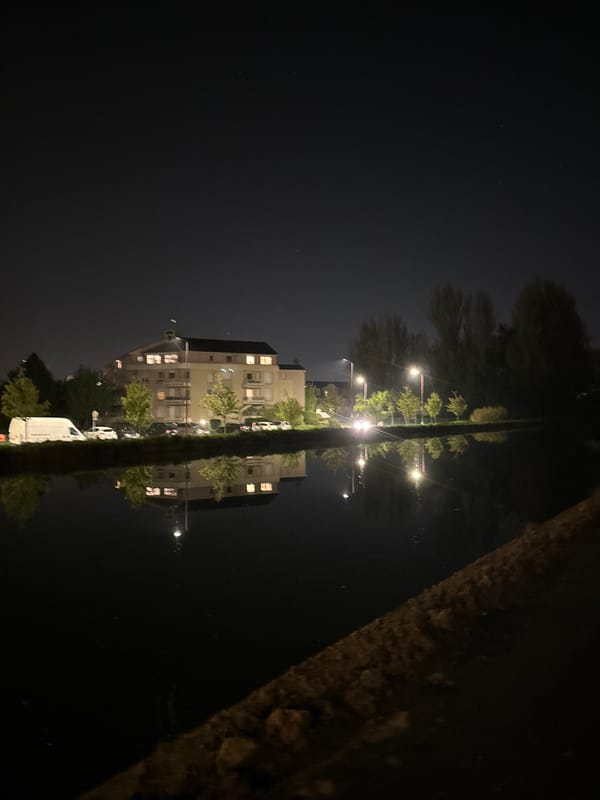 Illuminated building reflected in water at night in Bischheim