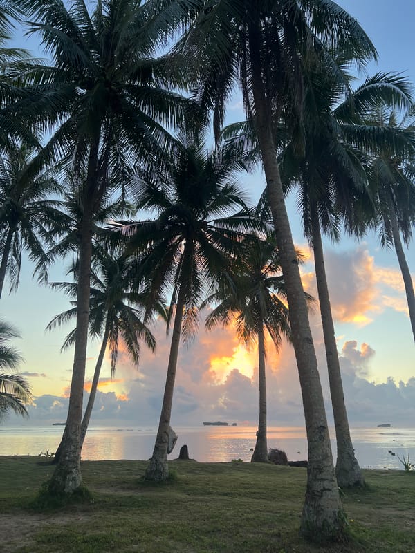 Palm trees silhouetted against a quiet tropical sky in General Luna