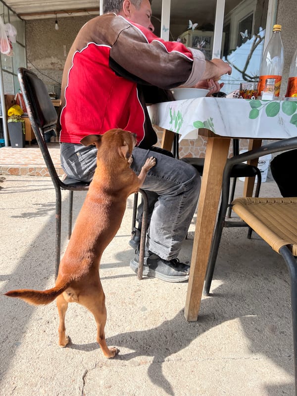 Everyday moments captured in Bulgarian village during midday