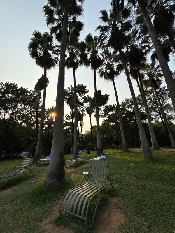 Morning park scenes captured in Futian District, China