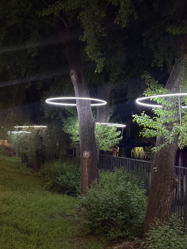 Evening park activities documented in illuminated Omsk recreation area