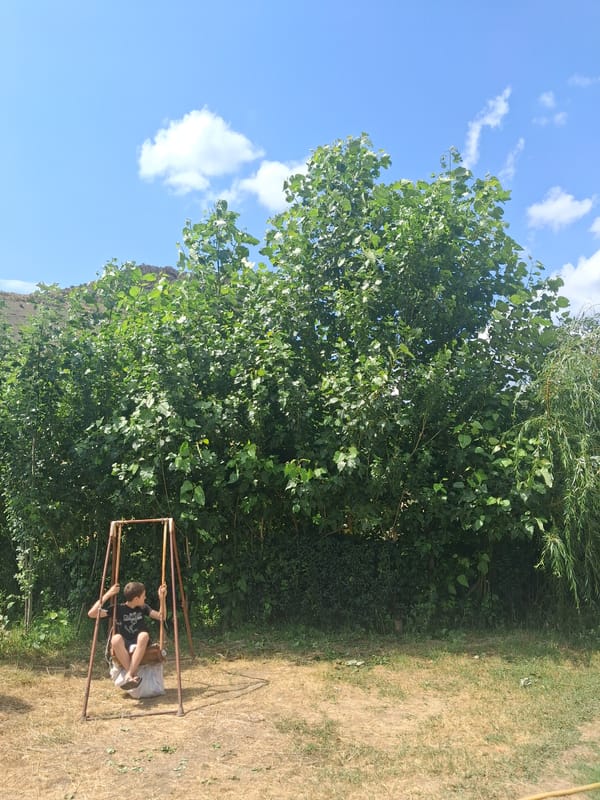 Rustic outdoor spot in Malishka, Armenia's hilly countryside