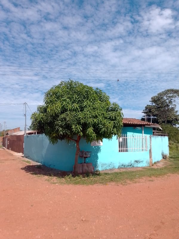 Witness Documents Daily Life Across Cuiabá Neighborhoods