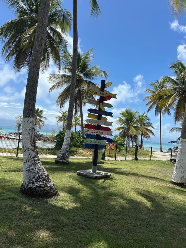 Tropical shoreline with white-painted palms and directional signage documented