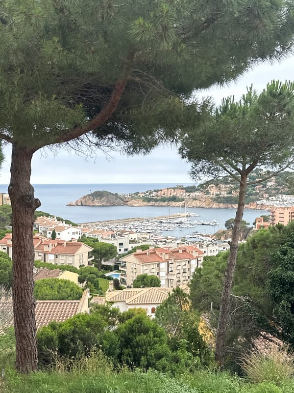 Morning moments captured in Spanish coastal town during social challenge