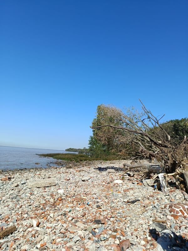 Clear skies observed over Buenos Aires rocky shoreline