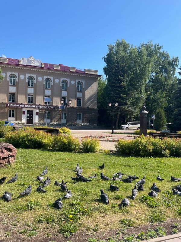 Morning scenes of pigeons and urban landmarks in Oktyabrsky
