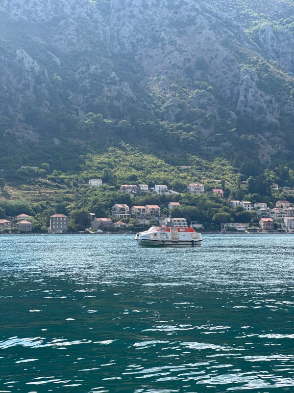 Boats, fishing, and clear water on the Bay of Kotor