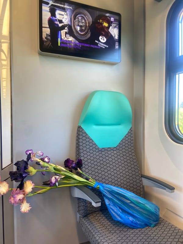 Empty seat captured on commuter train in Pushkino