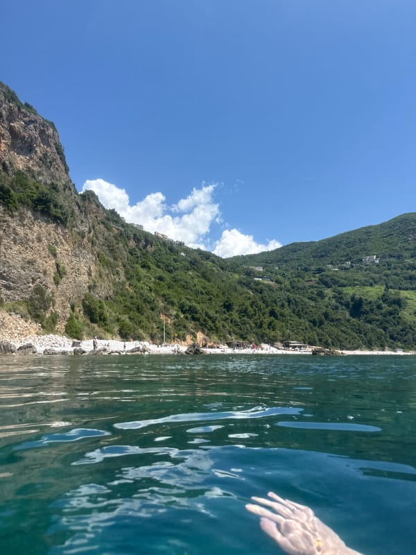 Swimming session documented in turquoise coastal waters with marine life