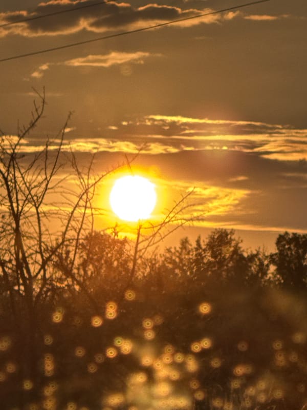 Golden dusk light through silhouetted trees in Ledenik, Bulgaria