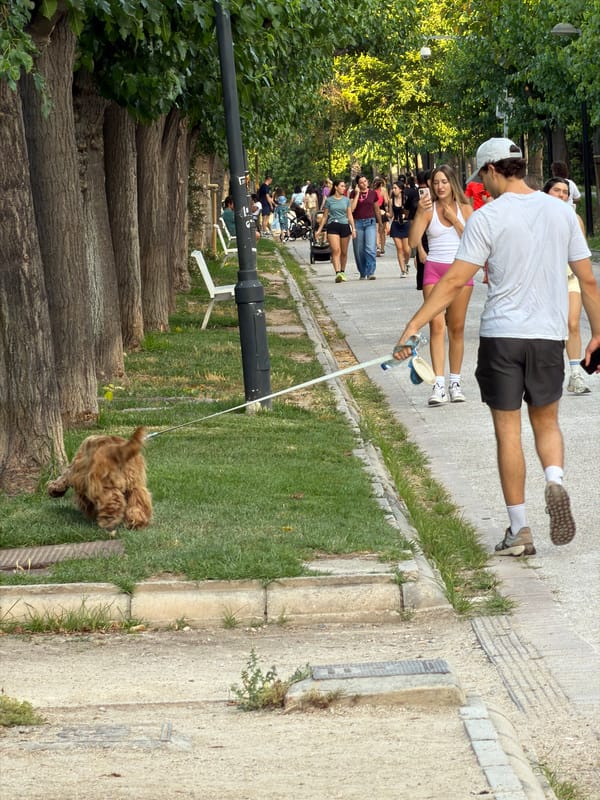 Afternoon in the Turia Gardens: play, movement, and public art