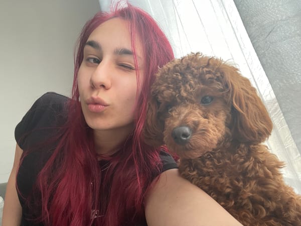 Domestic moments with woman and poodle captured in Smolyan
