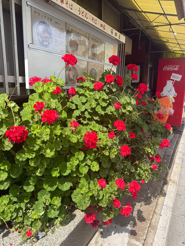 Morning life documented across central Kyoto locations