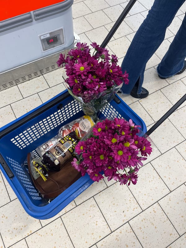Shopping basket with bread, flowers captured in Stara Zagora