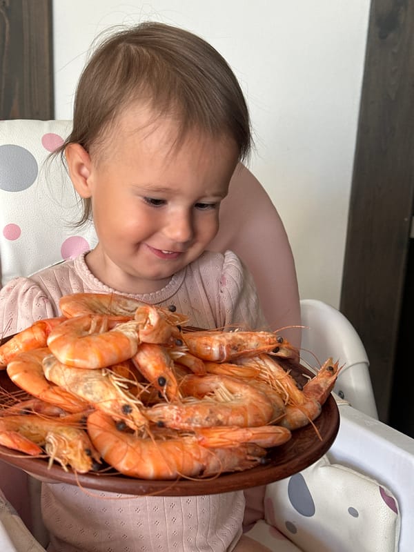 Child enjoys shrimp meal in high chair in Wisła