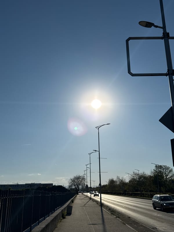 Sunny afternoon documented at roadway and recreational area