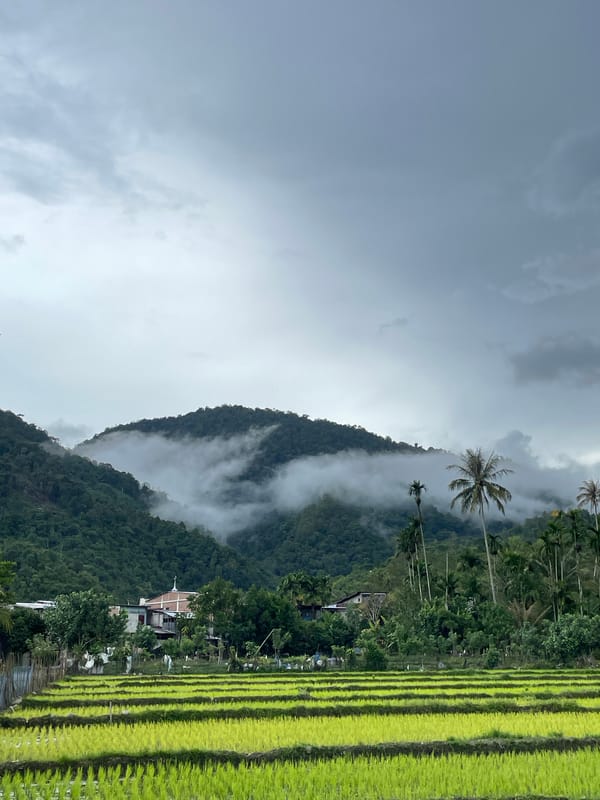 Foggy rice paddies and a mosque interior in rural Aceh