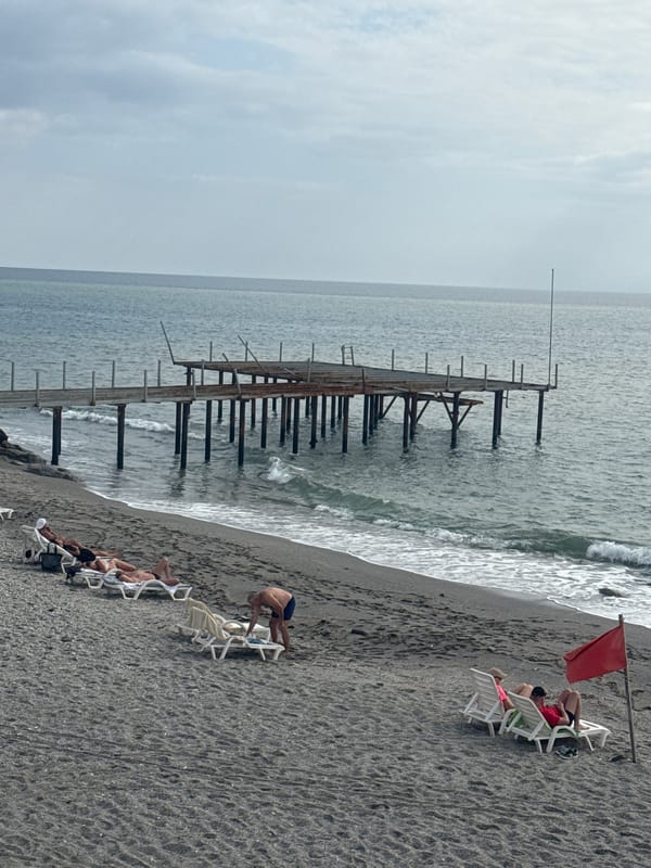 Coastal city life documented in 35-minute observation window