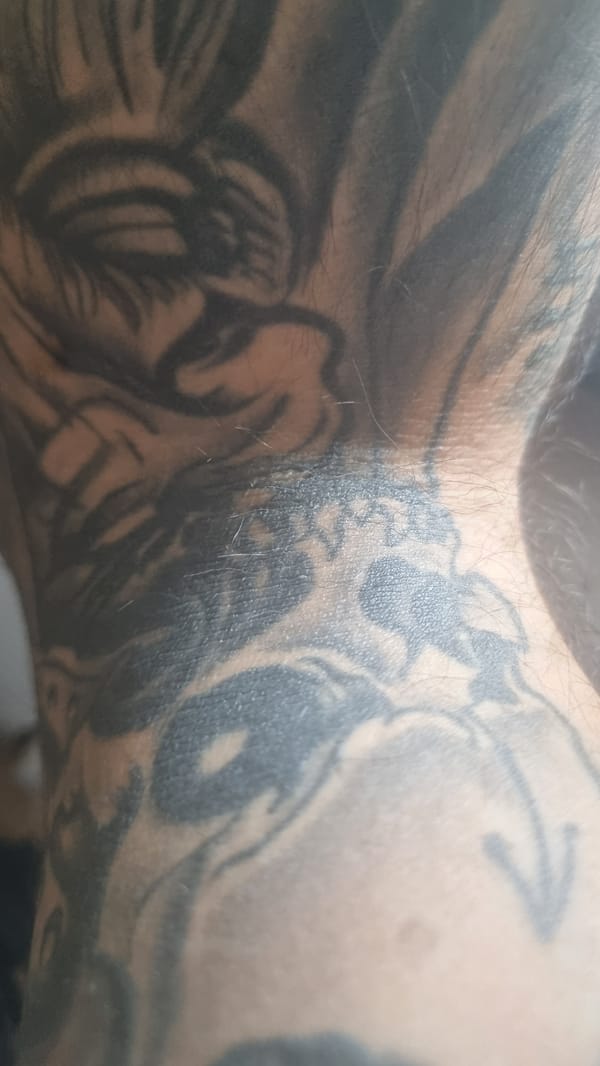 Mixed visual memories recorded in Boston over 15 minutes