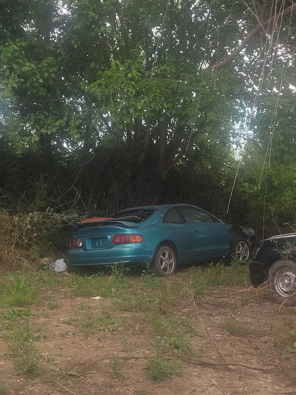 Abandoned cars spotted in wooded area near Andravida